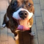 IMG 20210729 204131 150x150