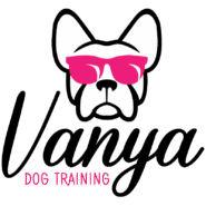 Vanya Dog Training